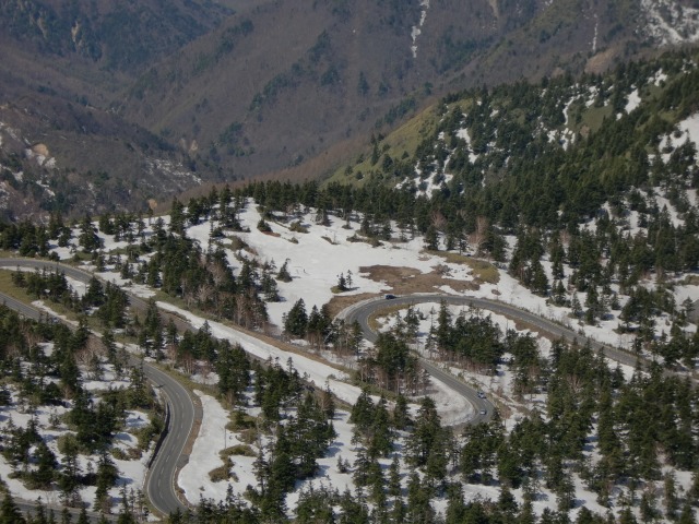 d0010065_21372648.jpg