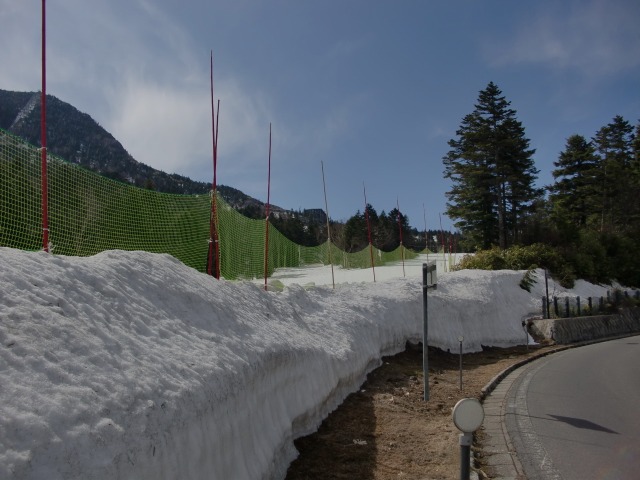 d0010065_21404166.jpg