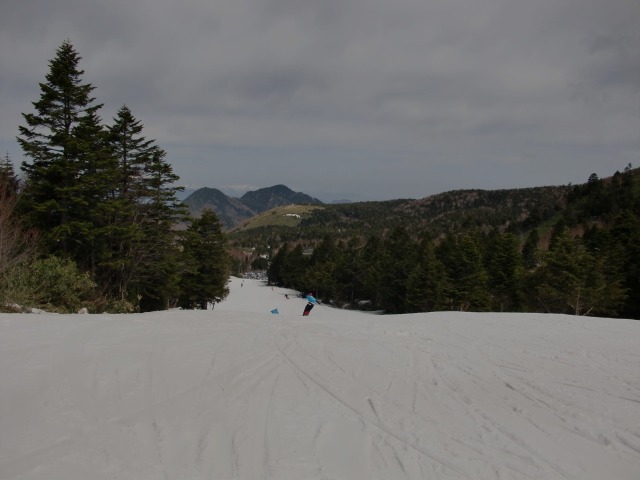 d0010065_21415584.jpg