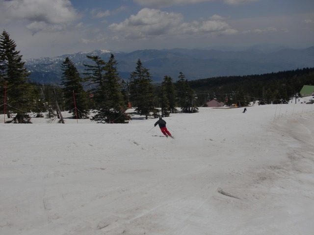 d0010065_2157787.jpg