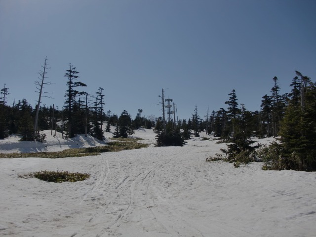 d0010065_2201050.jpg