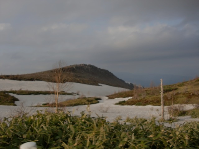 d0010065_224651.jpg