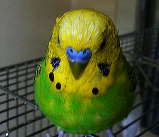 f0196665_23165915.jpg