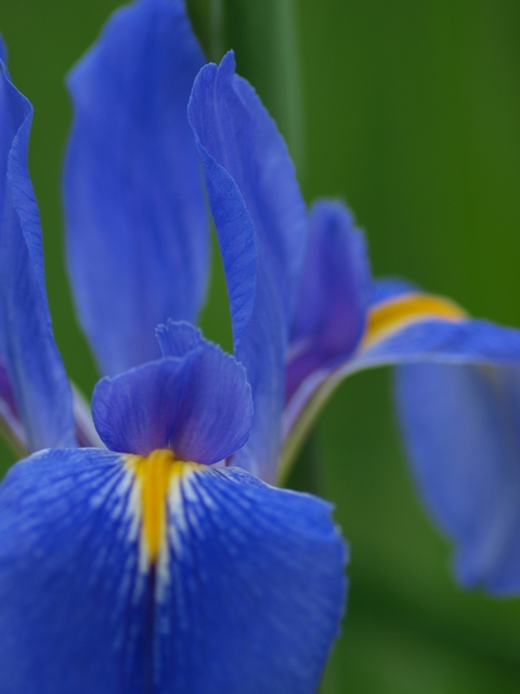 b0138768_1295181.jpg