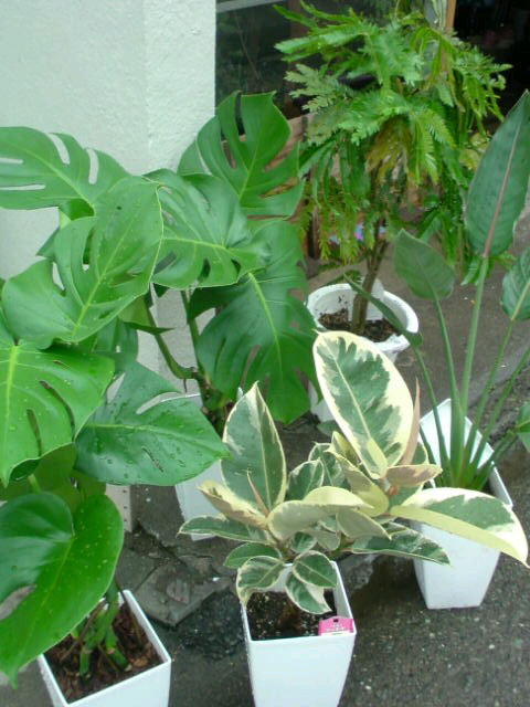 f0220768_12123491.jpg