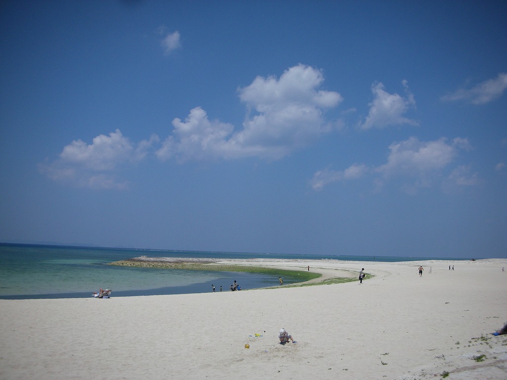 d0082970_1752165.jpg