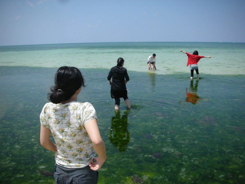 d0082970_17533164.jpg