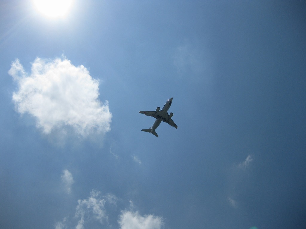 d0082970_17554326.jpg