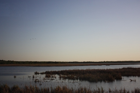 a0100975_1257911.jpg