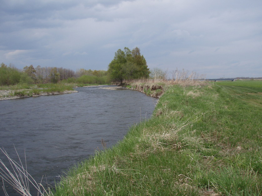 a0169776_19534034.jpg