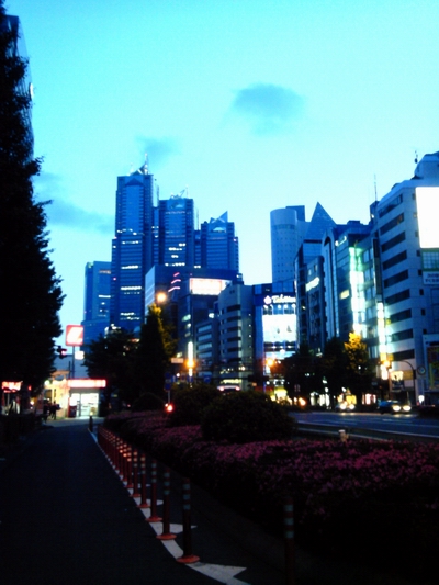 b0045776_0351642.jpg