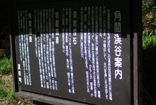 a0158478_9372277.jpg