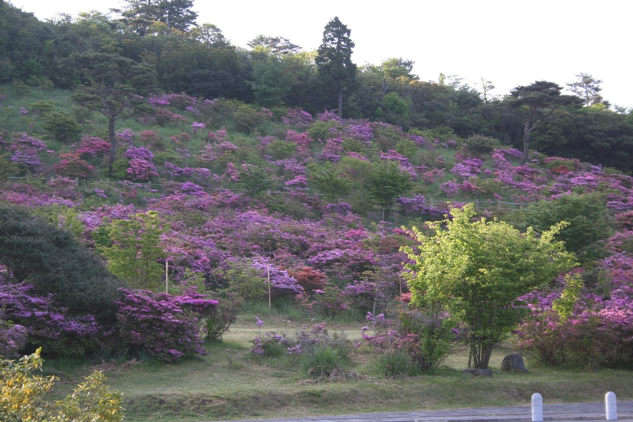 b0046478_0301796.jpg