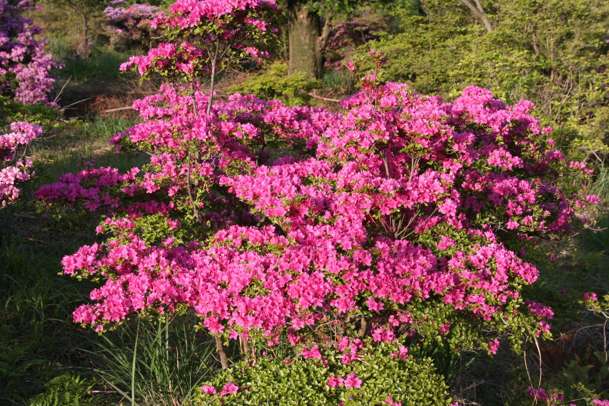 b0046478_0332642.jpg