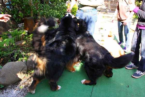 c0149178_17492226.jpg