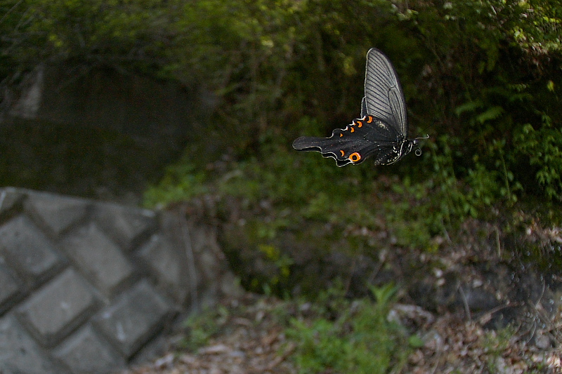 f0090680_23292326.jpg