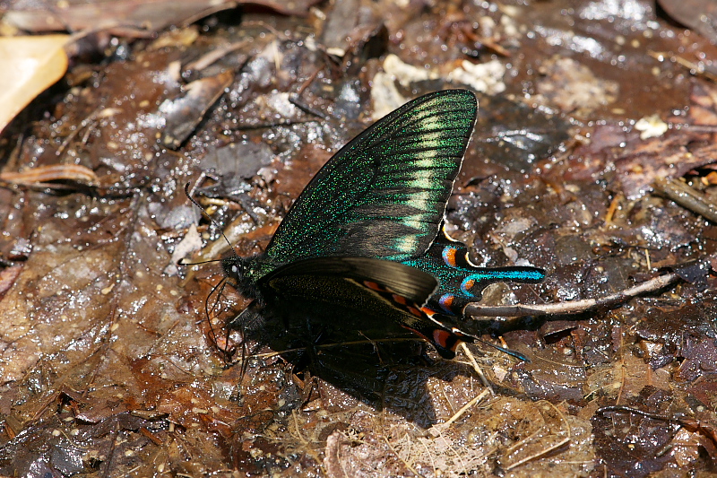 f0090680_23505311.jpg
