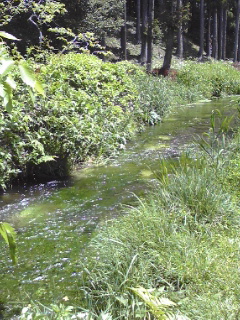 c0096582_2119869.jpg