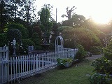 a0142083_1064039.jpg