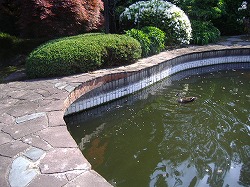 a0142083_9405097.jpg