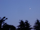 a0142083_9531580.jpg
