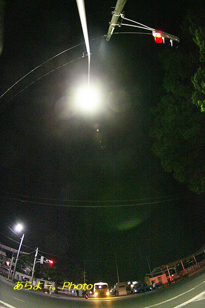 a0165683_13364690.jpg