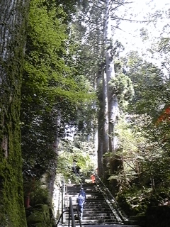 f0014183_1723950.jpg