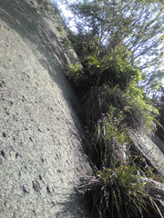 c0018489_22482172.jpg