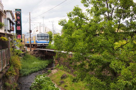 d0144092_2049787.jpg