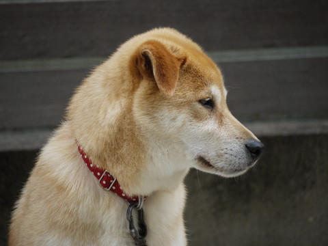 a0133493_13131656.jpg