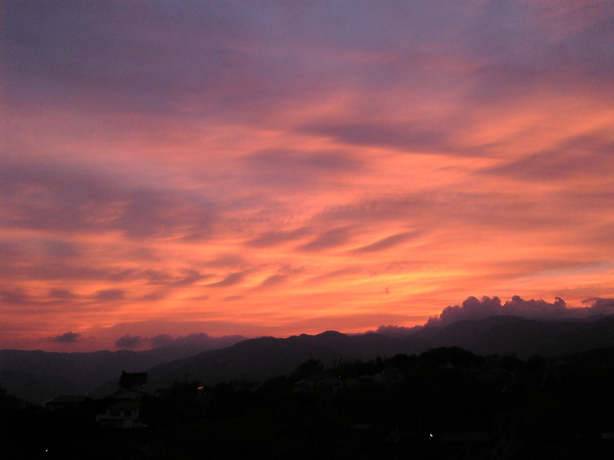 c0146094_1474784.jpg