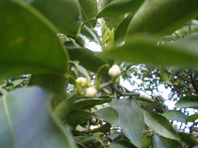 f0130894_20392456.jpg