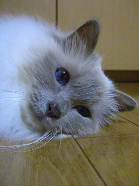 a0045697_23283955.jpg