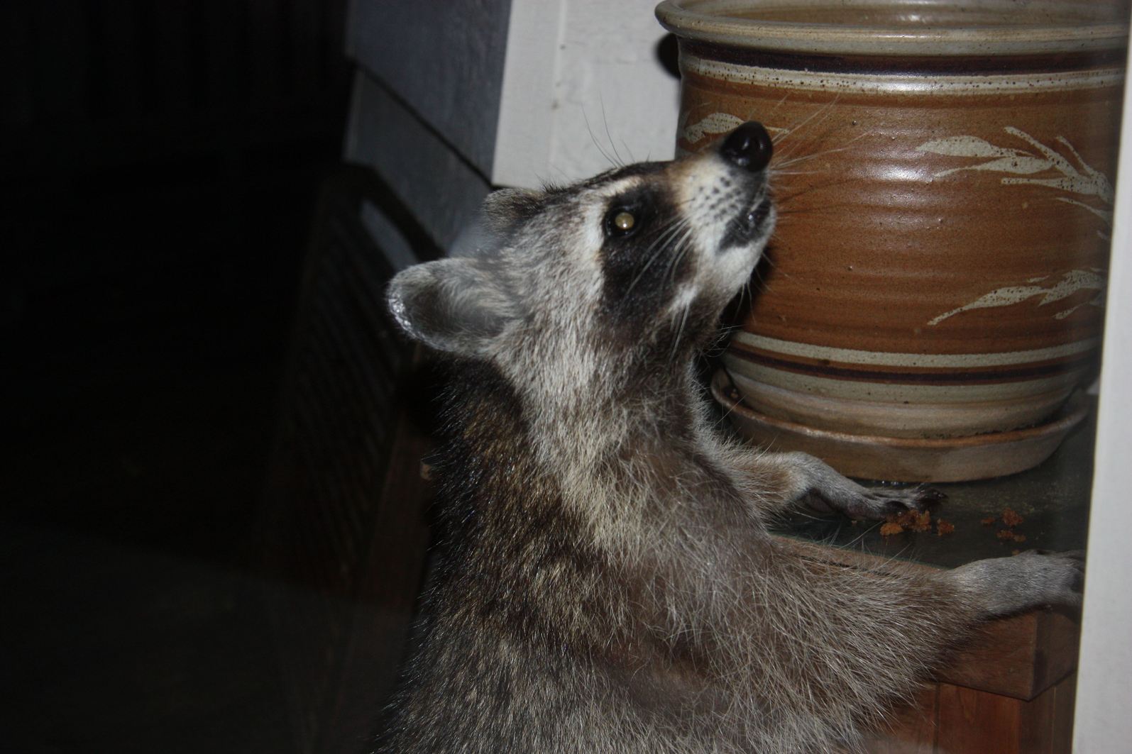 f0169397_534094.jpg