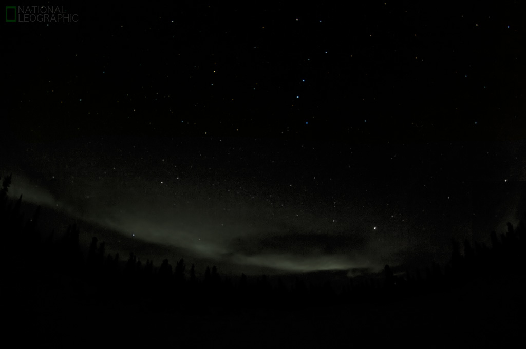 c0080101_1816981.jpg