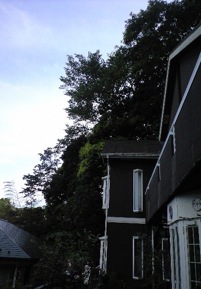 b0083902_22194743.jpg