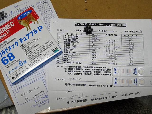 d0070702_23564818.jpg