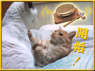 b0147203_11292010.gif