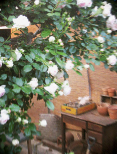 d0077603_10284876.jpg