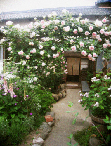 d0077603_615396.jpg