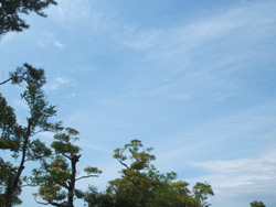 f0048405_11331810.jpg