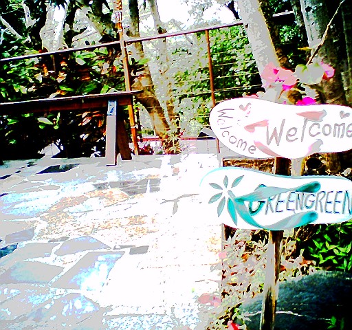 f0177305_134450.jpg