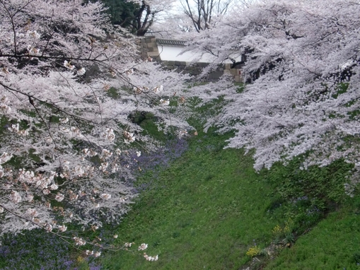 c0110906_0254056.jpg