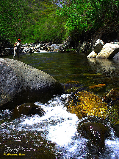 e0009009_0273248.jpg