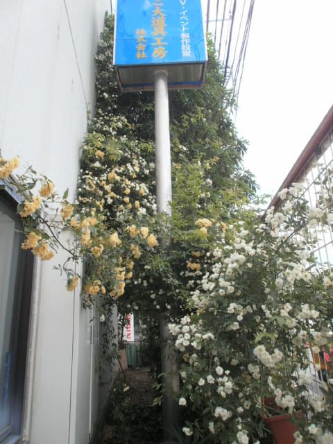 c0116610_14555734.jpg