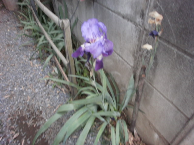 c0116610_15501494.jpg