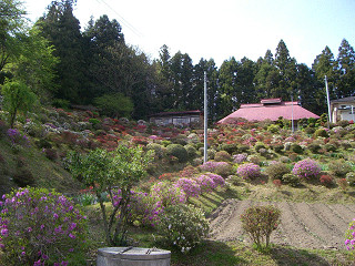 b0168412_7131676.jpg