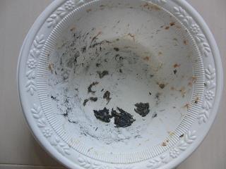 c0201113_22143695.jpg