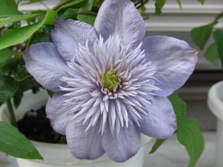 c0201113_22245171.jpg