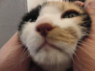 c0201113_22305777.jpg